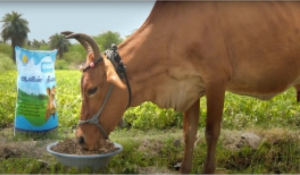MAHINDRA ORIGINS CHENNAI
